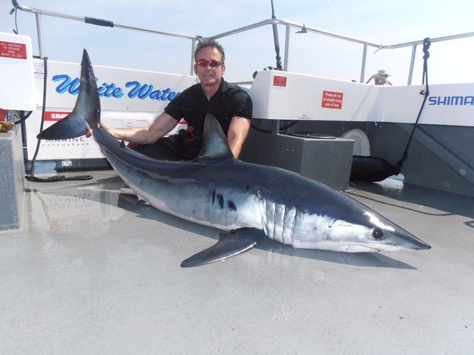 Short fin mako 194.04lb they can swim up to 60 kmh and jump up to 18 foot out of the sea. 