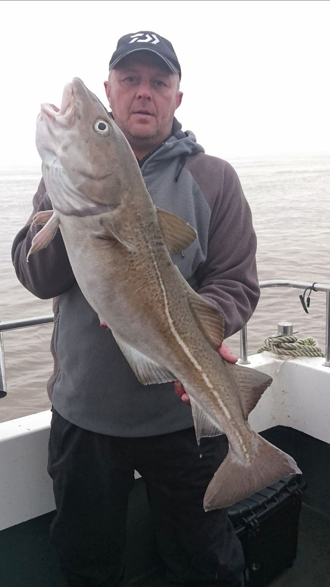 1St place on board white water charters skippered by Andrew Alsop was Tim Theyer from the swsa club with a cracking 7.22kg.
On squid and black lug from Holton Road Angling on 4/0 sakuma manta extras. 