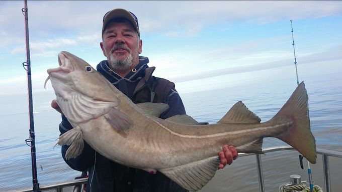 2 nd place on board white water charters skippered by Andrew Alsop was Simon Batey from the swsa club with a nice 7.12kg using salted lug and squid on 5/0 sakuma manta extras. 
First and second place on the same charter boat must mean that skipper Andrew Alsop made the write choice in his marks.